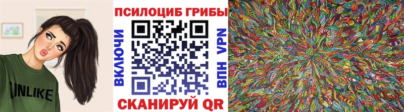 Псилоцибиновые грибы GOLDEN TEACHER  Купить где  Грязи 