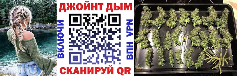 Купить где  Грязи  Каннабис AK-47 